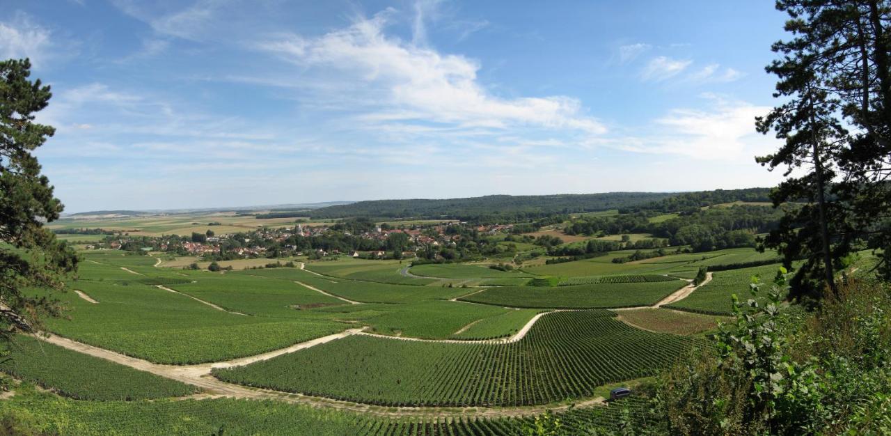 Domaine Des Grattieres Hotel Hermonville Exterior photo